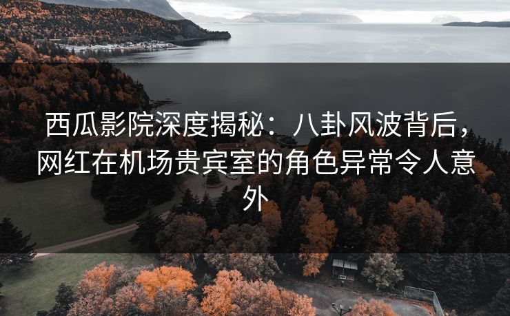 西瓜影院深度揭秘：八卦风波背后，网红在机场贵宾室的角色异常令人意外