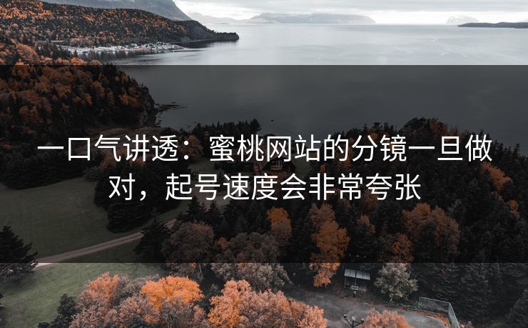 一口气讲透：蜜桃网站的分镜一旦做对，起号速度会非常夸张